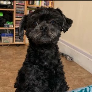 Meet your Posher, Jenn